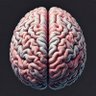 The Brain™ profil fotoğrafı