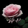 وجهـ الحياهـ 的头像