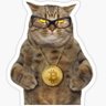 Profilbild von Roaring Satoshi