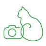 ヒマナネコふくだ＠街頭演説LIVE配信やってます🐱 profil fotoğrafı