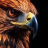 واحد مصري's profile picture
