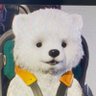 Profilbild von Matey