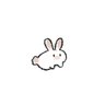 みーすけ's profile picture
