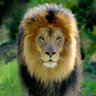 God'sSupreme's profile picture