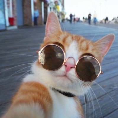 KLAVVDIJA's profile picture