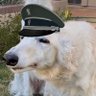 Mike's profile picture
