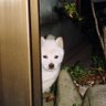 かずやですぅ's profile picture