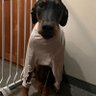 Фото профиля sisterkeki