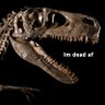 EvilDegenerateRaptor profil fotoğrafı