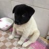 mean profil fotoğrafı