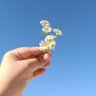 Фото профиля 🌼sarı papatya🌼