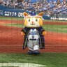 Profilbild von 勝手にシンドバット西村