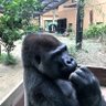 すけさん profil fotoğrafı