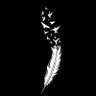 illuminate's profile picture