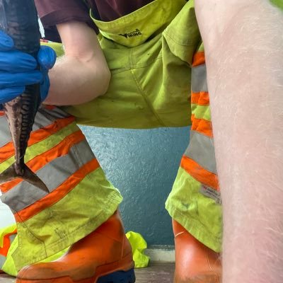 ted_fetish97's profile picture