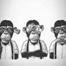 Sᴏʟᴇɪʟ Lᴇᴠᴀɴᴛ 𓋹𓊽's profile picture