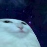ゲップのウィザードGOOSE🦆's profile picture