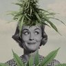 Indica & Sativa ◤✠◢'s profile picture