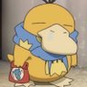 Profilbild von josh