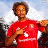 Ola's profile picture