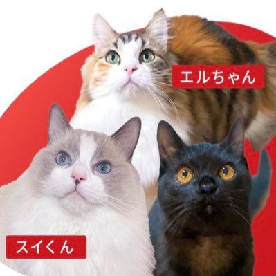 sui_and_elle's profile picture