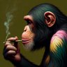Profilbild von Truth Signal