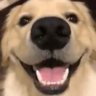 Profilbild von Good_Boy