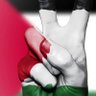 غزه العزه 的头像