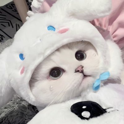 顔面土砂災害's profile picture