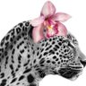 Yara 的头像