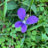 Фото профиля Ms Weedy