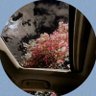 iivx.ru profil fotoğrafı
