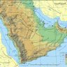 داري التميمي's profile picture