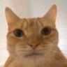 Profilbild von Shippy GG