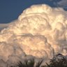 Nimbus Cumulus 的头像