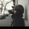 Kijana ya KarU profil fotoğrafı