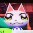 coydeseu's profile picture