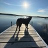 Jeremy's profile picture