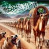 عبدالرحمن المالكي 的头像