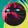 Фото профиля Degen Raccoon 💵