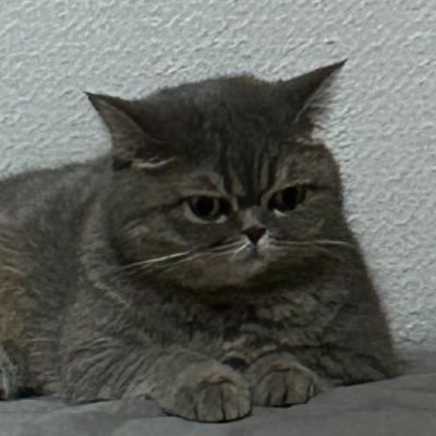 Ysmannn's profile picture