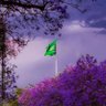 Hussam AL Saud 的头像