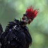 Фото профиля Anthony Ramirez