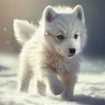 Profilbild von DancesWithWolves