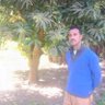 جمال الاعرجي 的头像