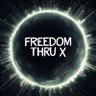 Freedom Thru 𝕏's profile picture