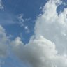 にーにゃ 的头像