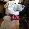 joeterranova's profile picture