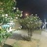 Heleninha........ profil fotoğrafı