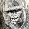 Profilbild von ご無体さん